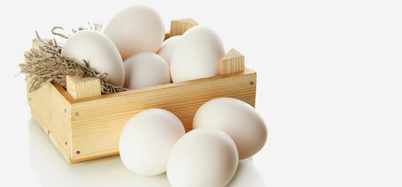 10 أهم نصائح لفوائد البيض لإدراجها لبرنامجك الغذائي